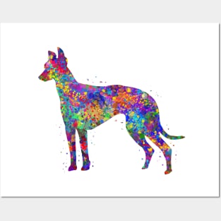 Greyhound dog watercolor Posters and Art